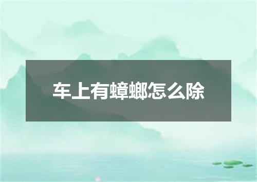 车上有蟑螂怎么除