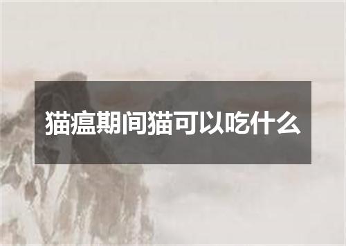 猫瘟期间猫可以吃什么