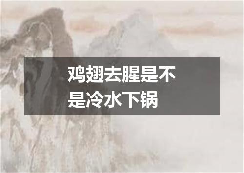 鸡翅去腥是不是冷水下锅