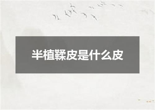 半植鞣皮是什么皮