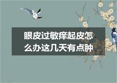 眼皮过敏痒起皮怎么办这几天有点肿