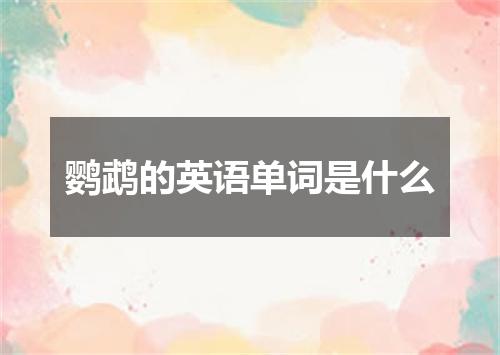 鹦鹉的英语单词是什么