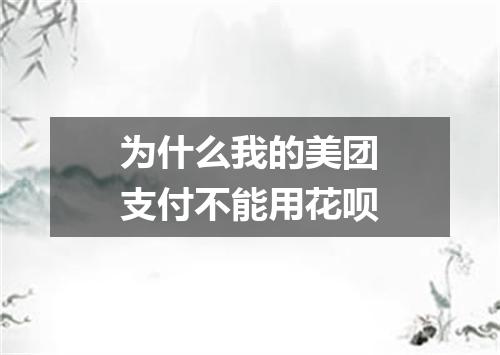 为什么我的美团支付不能用花呗