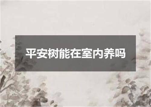平安树能在室内养吗