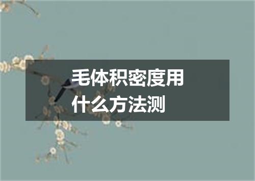 毛体积密度用什么方法测