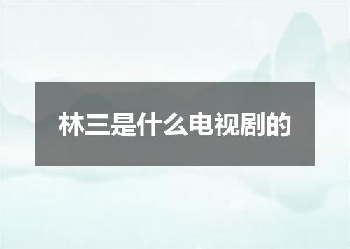 林三是什么电视剧的