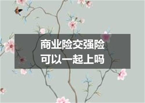 商业险交强险可以一起上吗