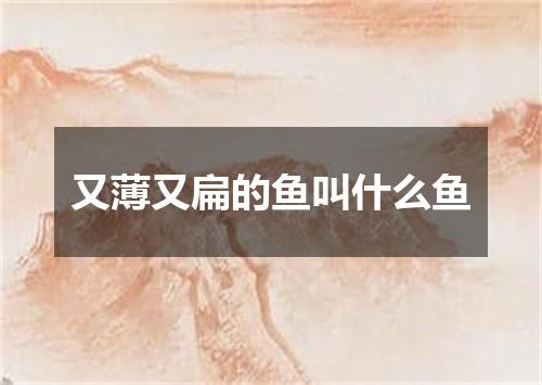 又薄又扁的鱼叫什么鱼