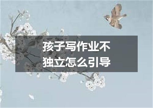 孩子写作业不独立怎么引导