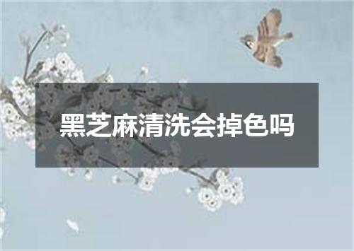 黑芝麻清洗会掉色吗