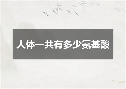 人体一共有多少氨基酸