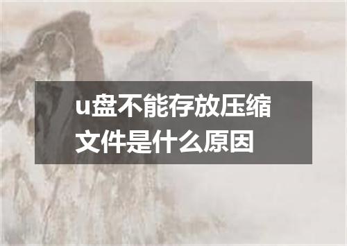 u盘不能存放压缩文件是什么原因