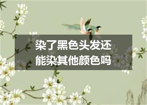 染了黑色头发还能染其他颜色吗