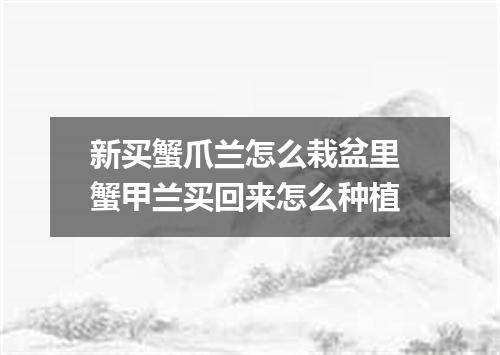 新买蟹爪兰怎么栽盆里 蟹甲兰买回来怎么种植