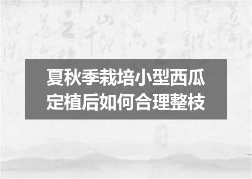 夏秋季栽培小型西瓜定植后如何合理整枝