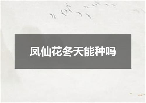 凤仙花冬天能种吗