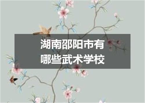 湖南邵阳市有哪些武术学校