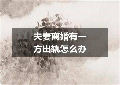 夫妻离婚有一方出轨怎么办