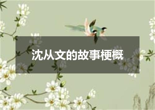 沈从文的故事梗概