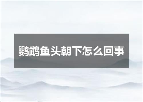 鹦鹉鱼头朝下怎么回事
