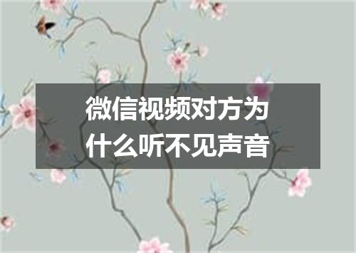 微信视频对方为什么听不见声音
