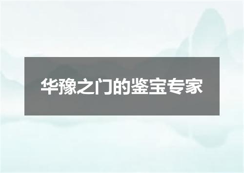华豫之门的鉴宝专家