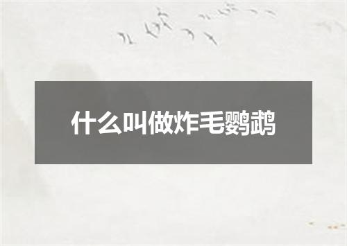 什么叫做炸毛鹦鹉