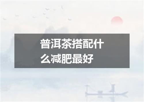 普洱茶搭配什么减肥最好
