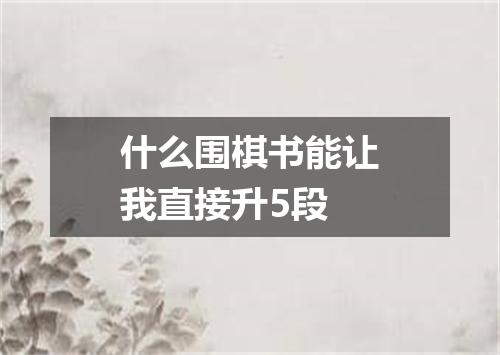 什么围棋书能让我直接升5段