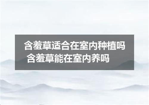 含羞草适合在室内种植吗 含羞草能在室内养吗