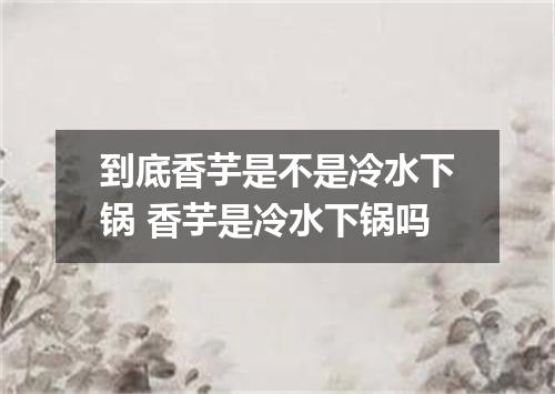 到底香芋是不是冷水下锅 香芋是冷水下锅吗