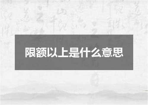限额以上是什么意思