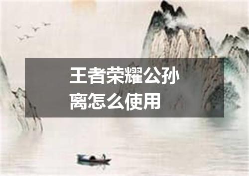 王者荣耀公孙离怎么使用