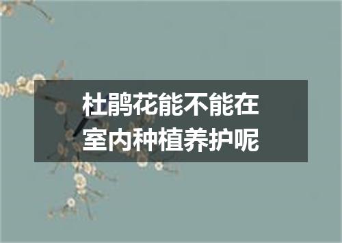 杜鹃花能不能在室内种植养护呢