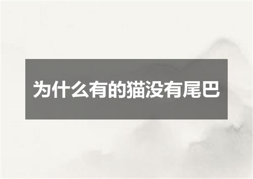 为什么有的猫没有尾巴