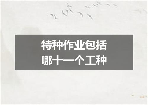 特种作业包括哪十一个工种