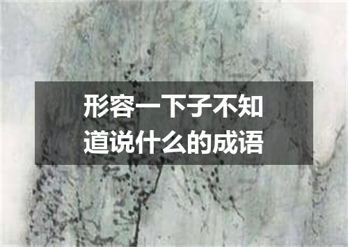 形容一下子不知道说什么的成语