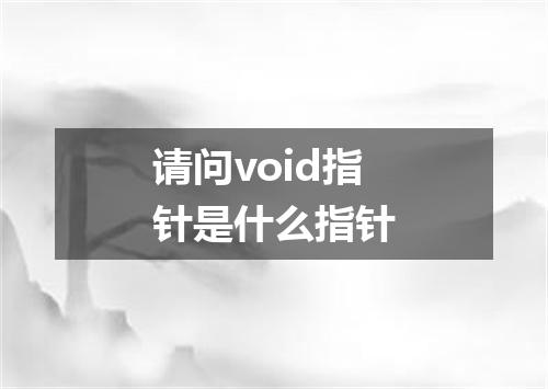 请问void指针是什么指针