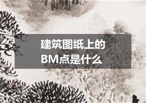 建筑图纸上的BM点是什么
