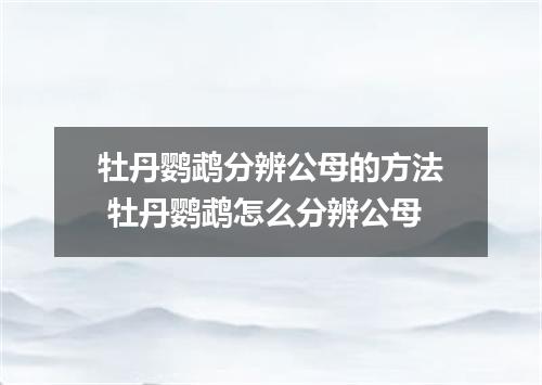 牡丹鹦鹉分辨公母的方法 牡丹鹦鹉怎么分辨公母