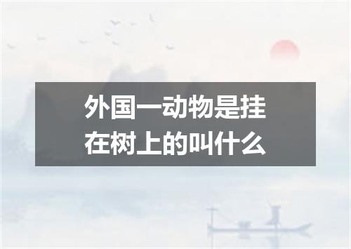 外国一动物是挂在树上的叫什么