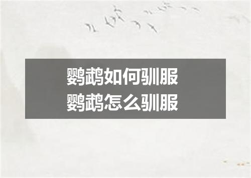 鹦鹉如何驯服 鹦鹉怎么驯服