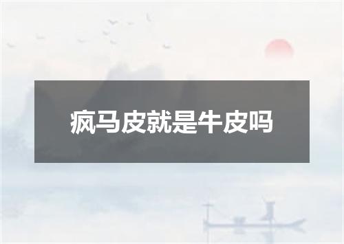 疯马皮就是牛皮吗