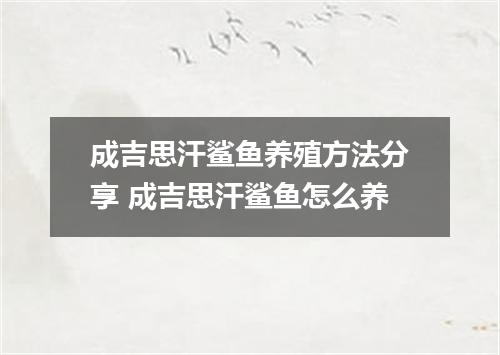 成吉思汗鲨鱼养殖方法分享 成吉思汗鲨鱼怎么养