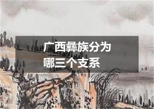 广西彝族分为哪三个支系