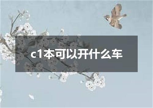 c1本可以开什么车