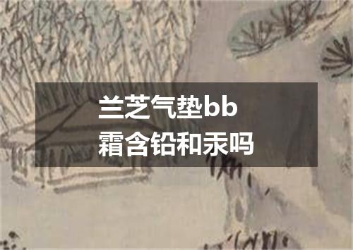 兰芝气垫bb霜含铅和汞吗