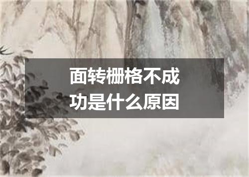 面转栅格不成功是什么原因