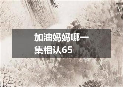 加油妈妈哪一集相认65