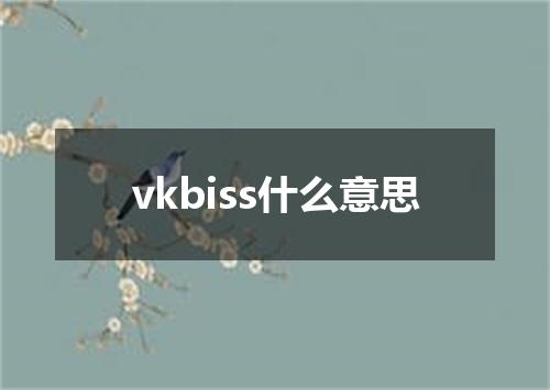 vkbiss什么意思